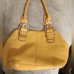 Tignanello gold leather purse